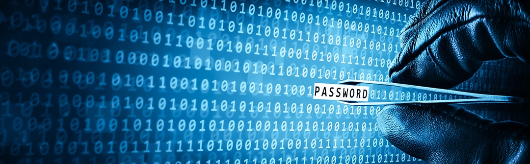 Password Breaches: How To Avoid Losing Clients