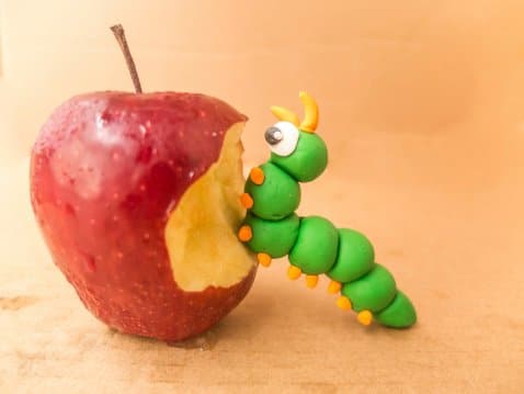 Caterpillar made out of playdoh on apple