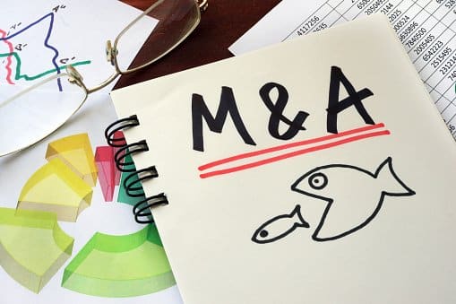 M and A on paper with a drawn fish eating a smaller drawn fish