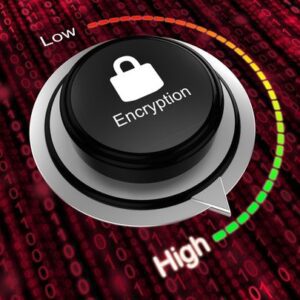 small business cybersecurity-encryption